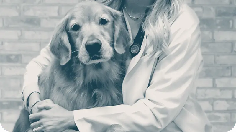 CityVet | Preston Forest Veterinary Clinic & Urgent Care preview