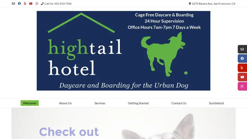 High Tail Hotel preview