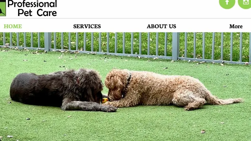 Dallas Professional Pet Care preview