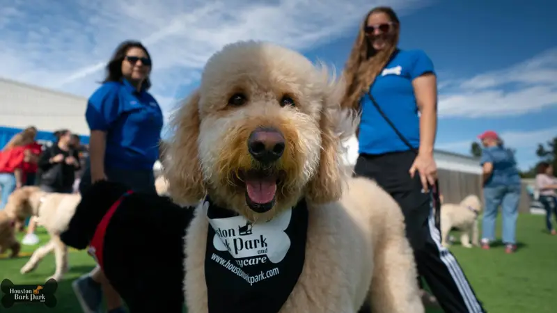 Houston Bark Park and Daycare preview