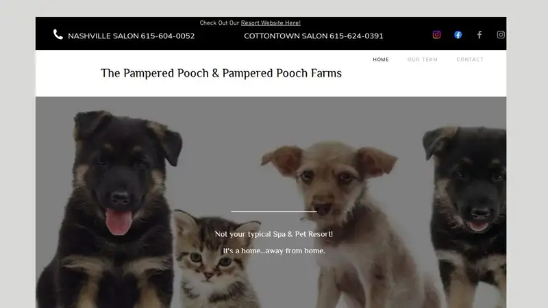 The Pampered Pooch Pet Spa & Resort preview