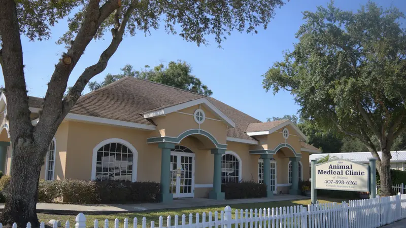 Animal Medical Clinic of Orlando preview