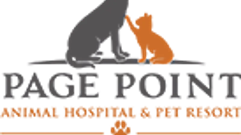 Page Point Animal Hospital and Pet Resort preview