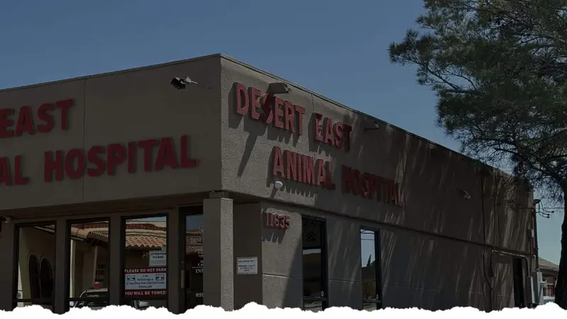 Desert East Animal Hospital preview