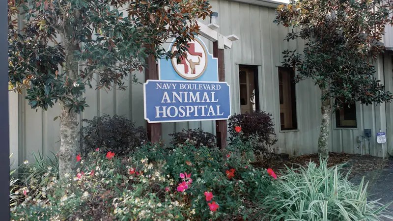 Navy Boulevard Animal Hospital preview