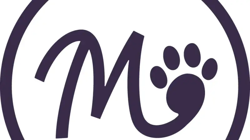 Molly's Dog Care Baltimore Peninsula preview