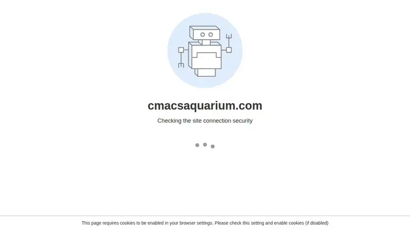 C-Macs Aquarium preview