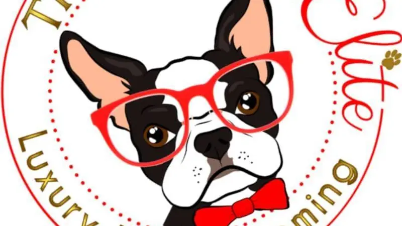 The Paw Spa Elite preview