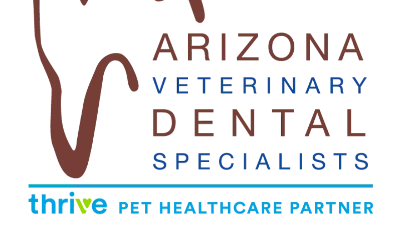 Arizona Veterinary Dental Specialists - Tucson preview