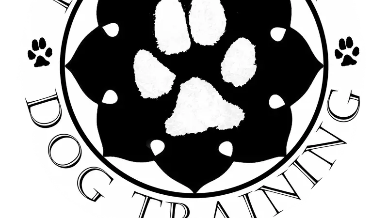 K9Journey Dog Training preview