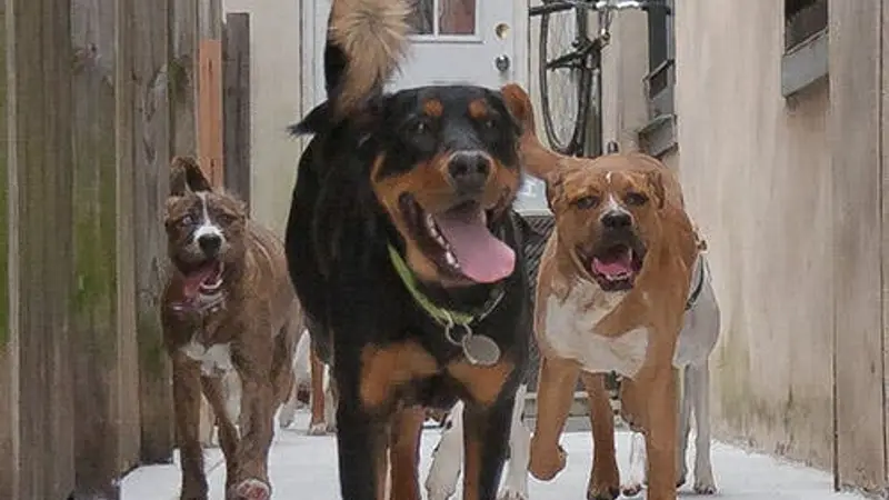 barKadelphia preview