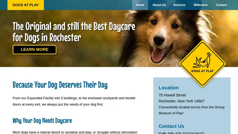 Dogs At Play preview