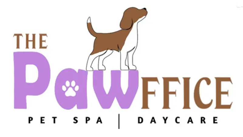 The Pawffice Pet Spa & Daycare preview