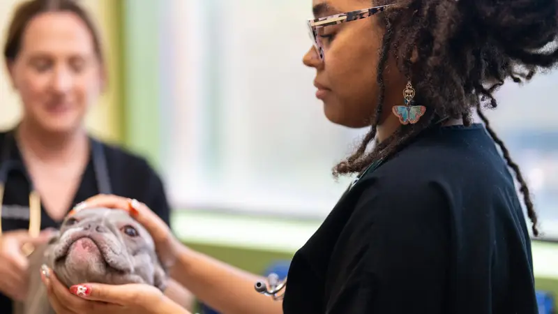 Pittsburgh Premier Veterinary Care and Rehab preview