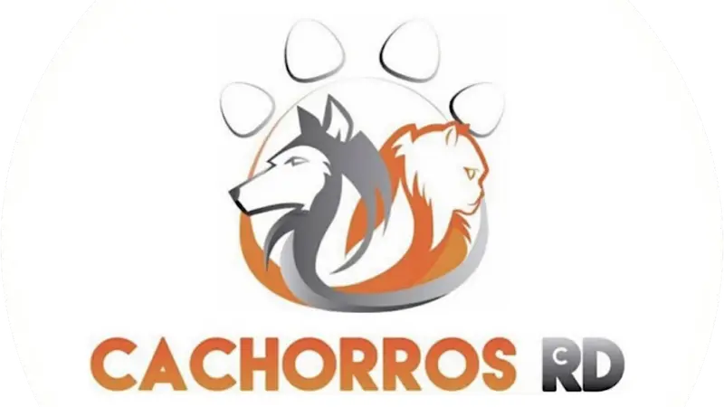 Cachorros RD preview
