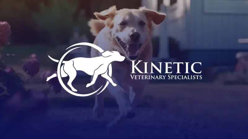 Kinetic Pets preview