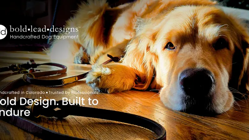 Bold Lead Designs Llc preview