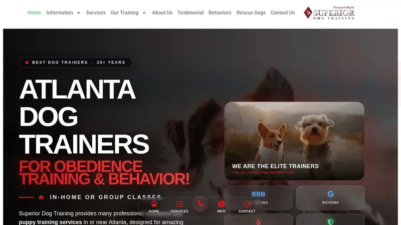 Superior Dog Training preview