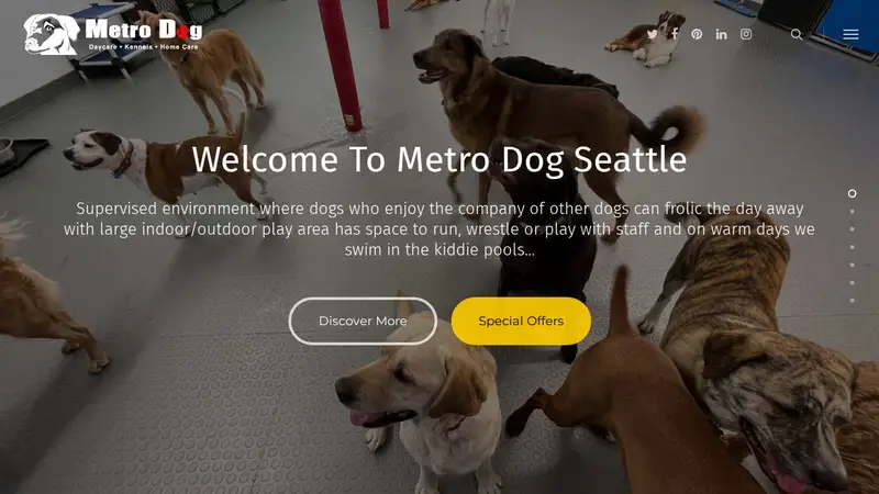 Metro Dog preview
