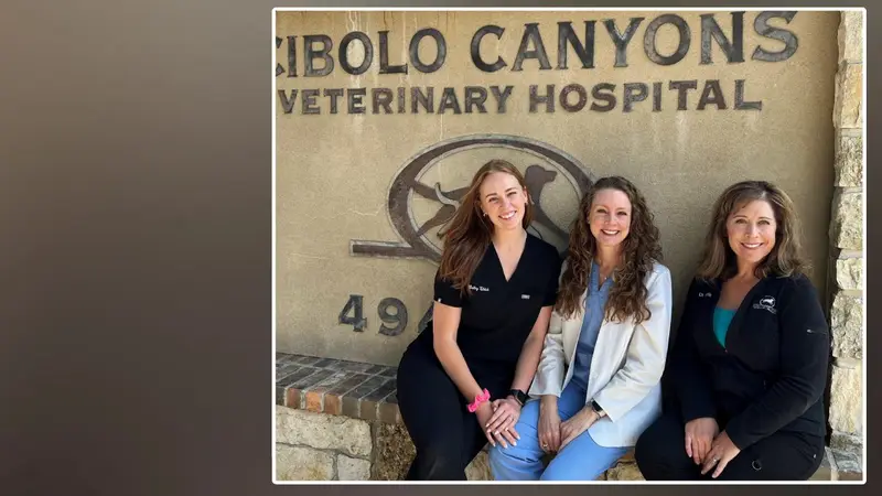 Cibolo Canyons Veterinary Hospital preview