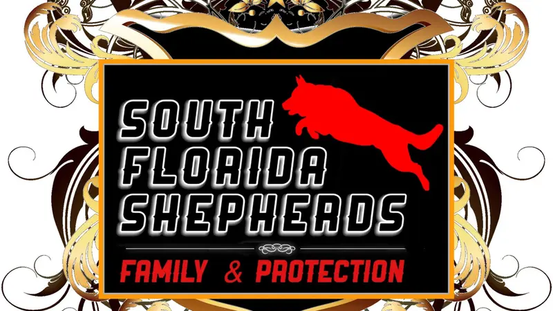 South Florida German Shepherds preview