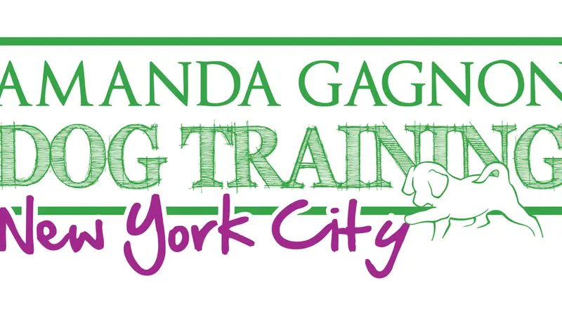 Amanda Gagnon Dog Training preview