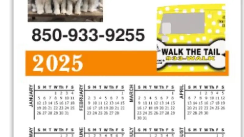 Walk the Tail preview