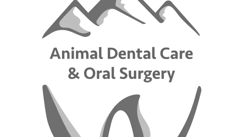 Animal Dental Care and Oral Surgery preview