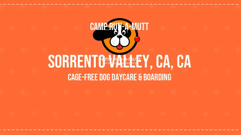 Camp Run-A-Mutt preview