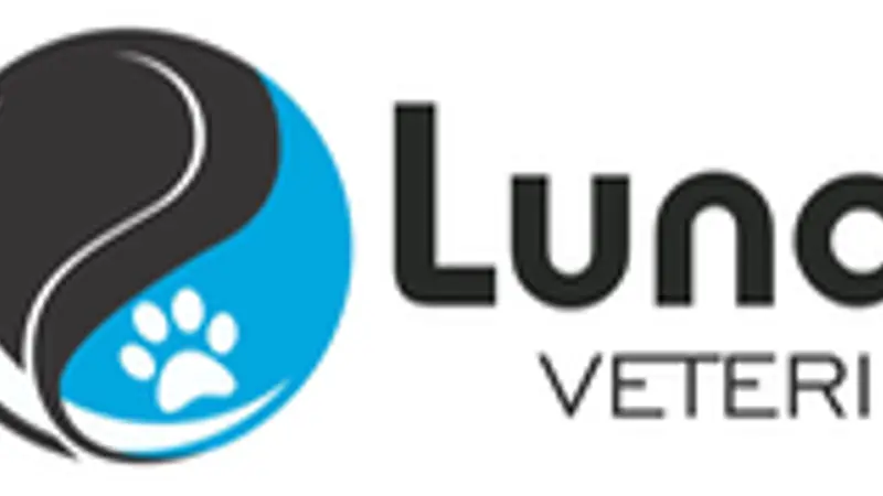 LunarPoodle Veterinary Services preview