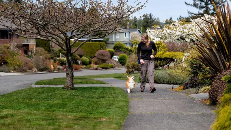 Trusty Dog Training Tulsa preview