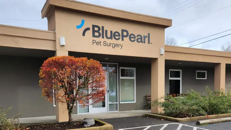 Veterinary Surgical Center of Portland preview