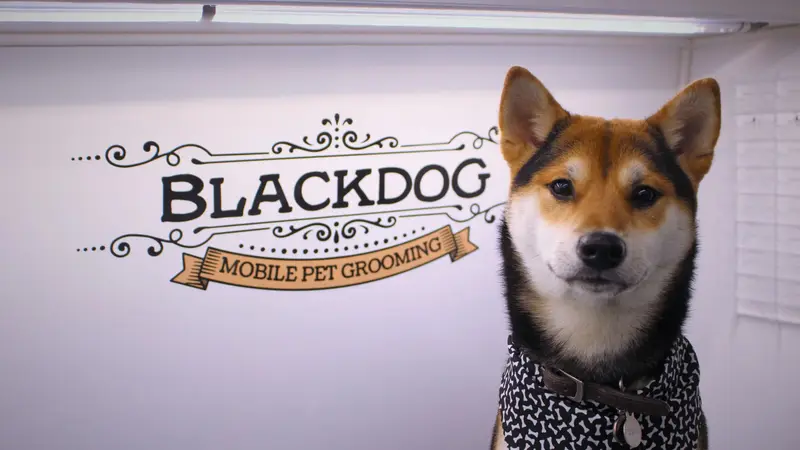 Blackdog Mobile Pet Grooming preview
