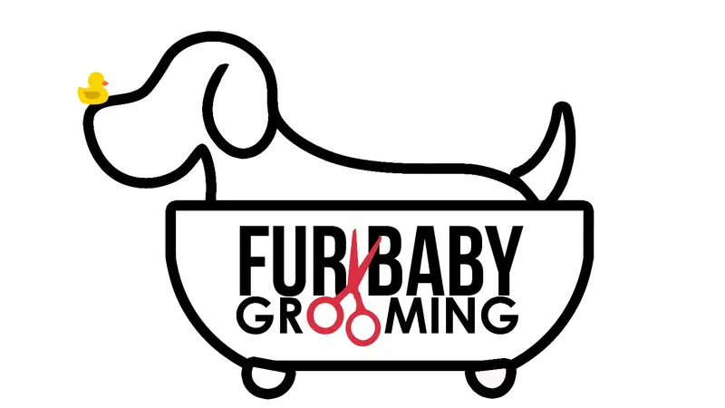Fur Baby Grooming and Boarding preview