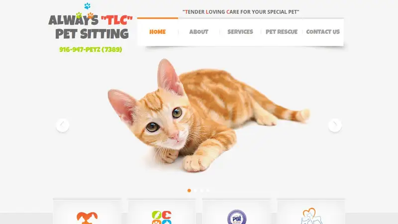 Always TLC Petsitting preview