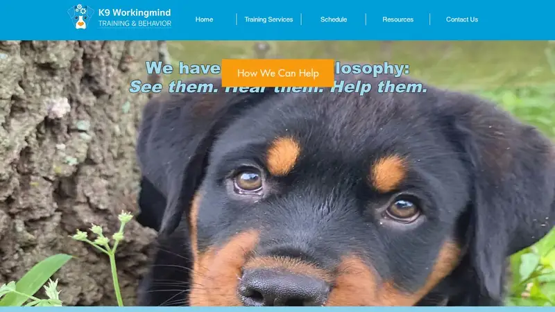K9 Workingmind preview