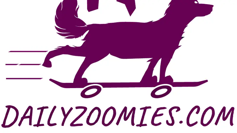 Daily Zoomies preview