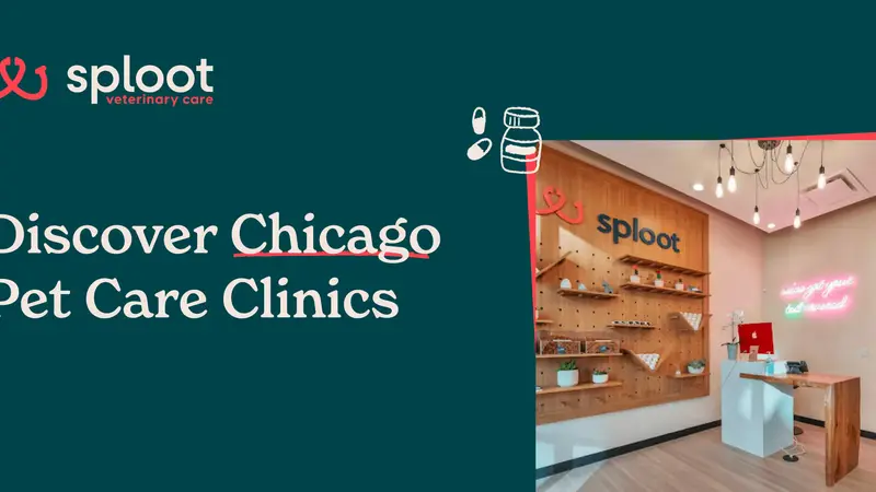 Sploot Veterinary Care - Logan Square preview