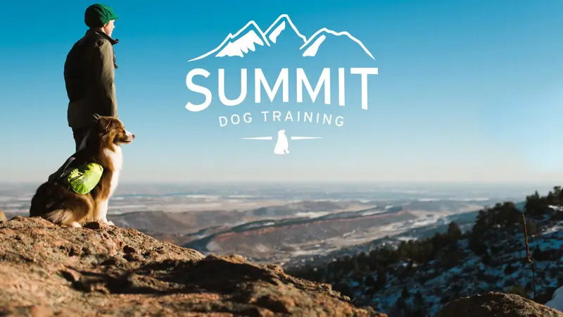 Summit Dog Training preview