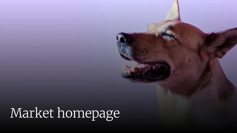 Veterinary Emergency and Critical Care preview
