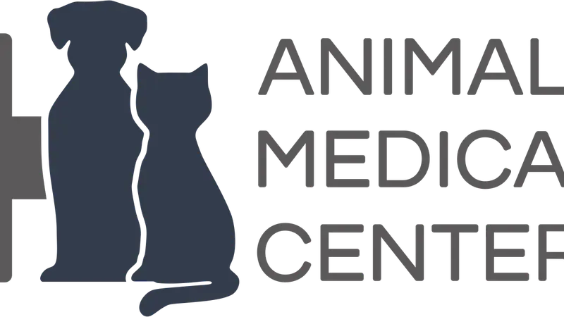 Bayside Veterinary Clinic preview