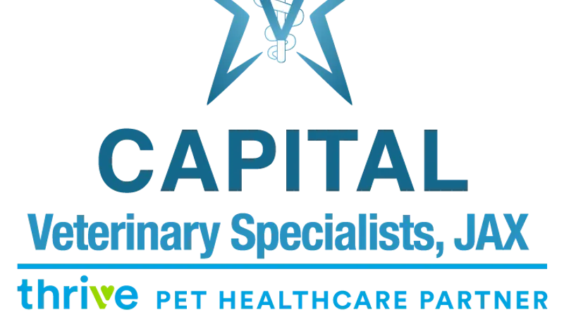 Capital Veterinary Specialists preview