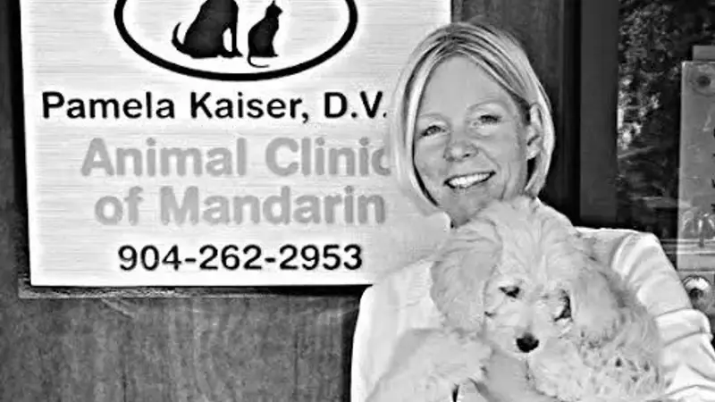 Animal Clinic of Mandarin preview