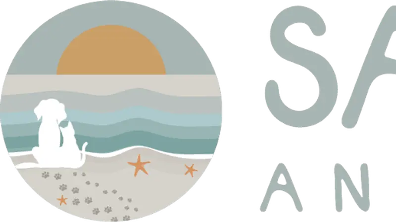 Sandy Paws Animal Hospital preview
