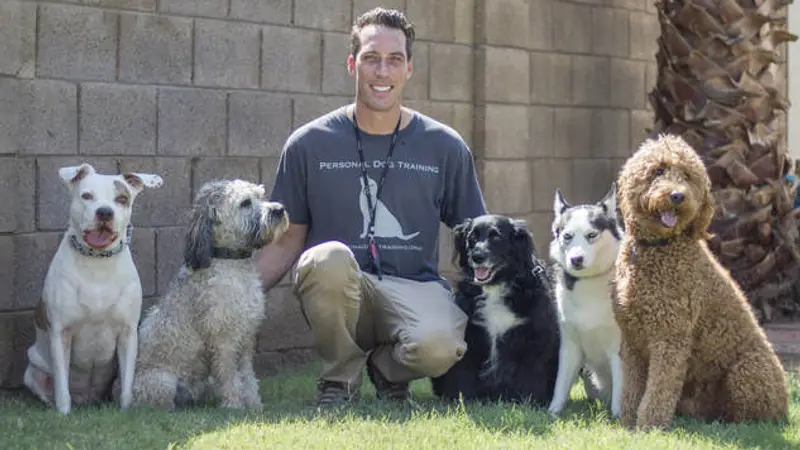 Personal Dog Training preview