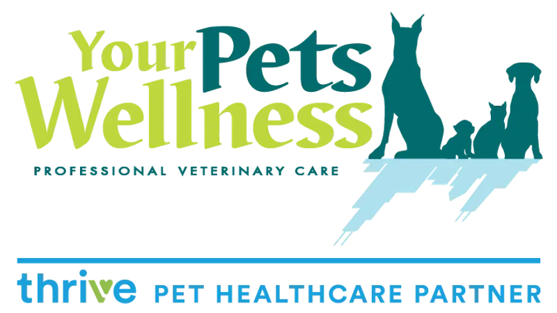 Your Pets Wellness preview