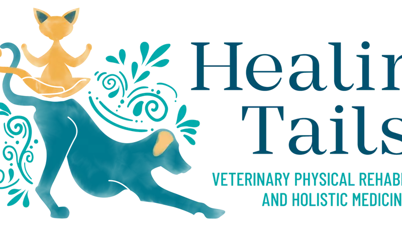 Healing Tails Chicago preview