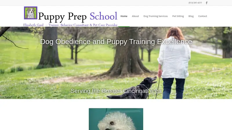 Puppy Prep School preview