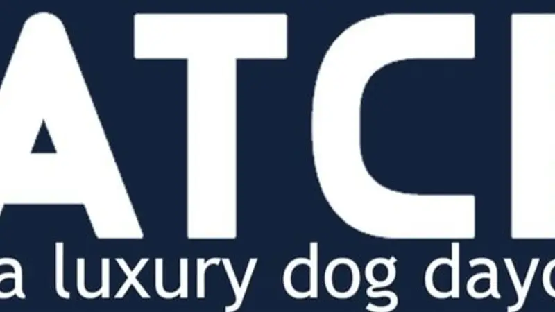 Wag Watch preview