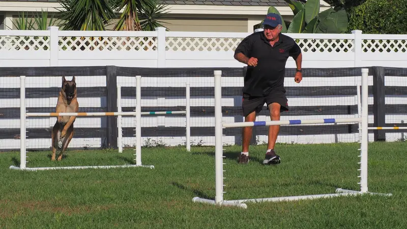 Full Stride Dog Agility preview